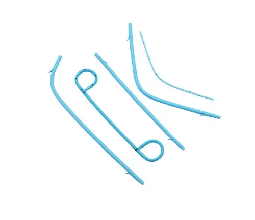 Plastic Biliary Stent